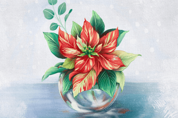 Poinsettia Oil Paint Procreate Tutorial By Freya Art Poinsettia Oil Paint Procreate Tutorial By Freya Art